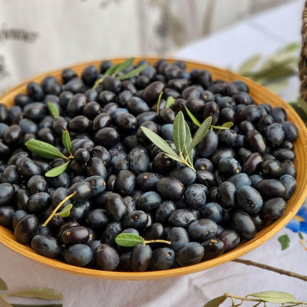 Olives de Nice